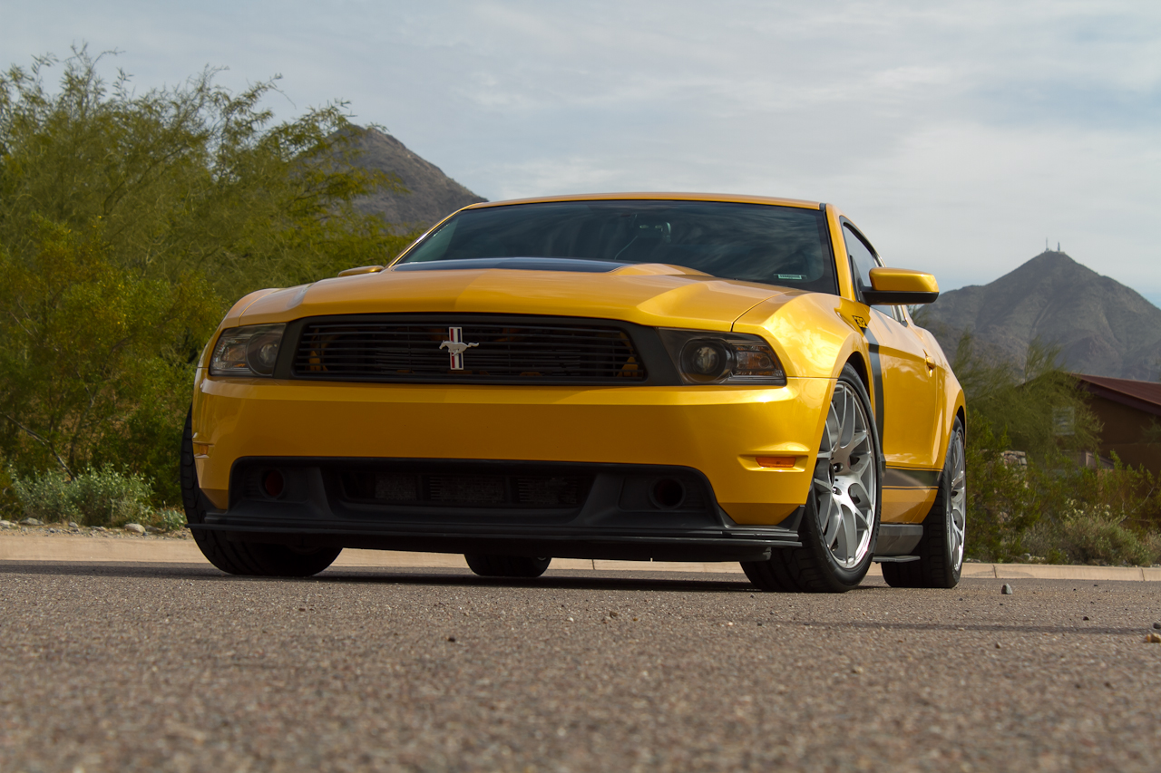 mustang-16.jpg